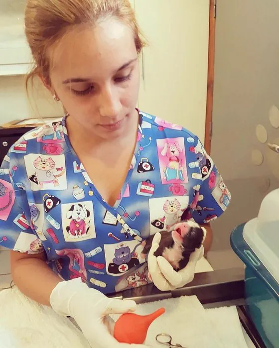 La Dra. Andrea Doldan atendiendo a un cachorro recién nacido en el consultorio