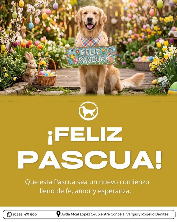 Golden Retriever junto a un cartel de Feliz Pascua rodeado de flores