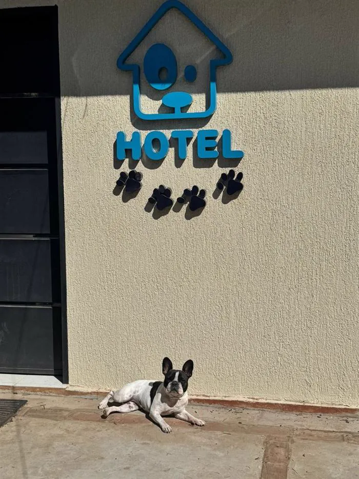 Bulldog francés descansando al sol bajo el cartel del hotel