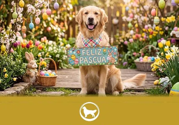 Golden Retriever con su cartel de Feliz Pascua entre flores