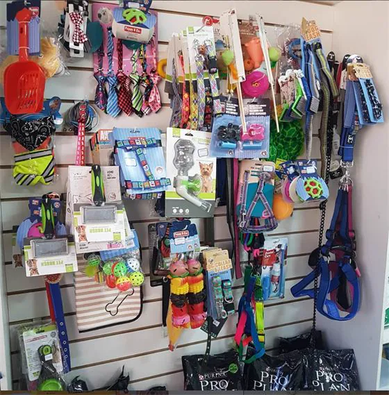 Pared del pet shop llena de juguetes, correas y accesorios para mascotas