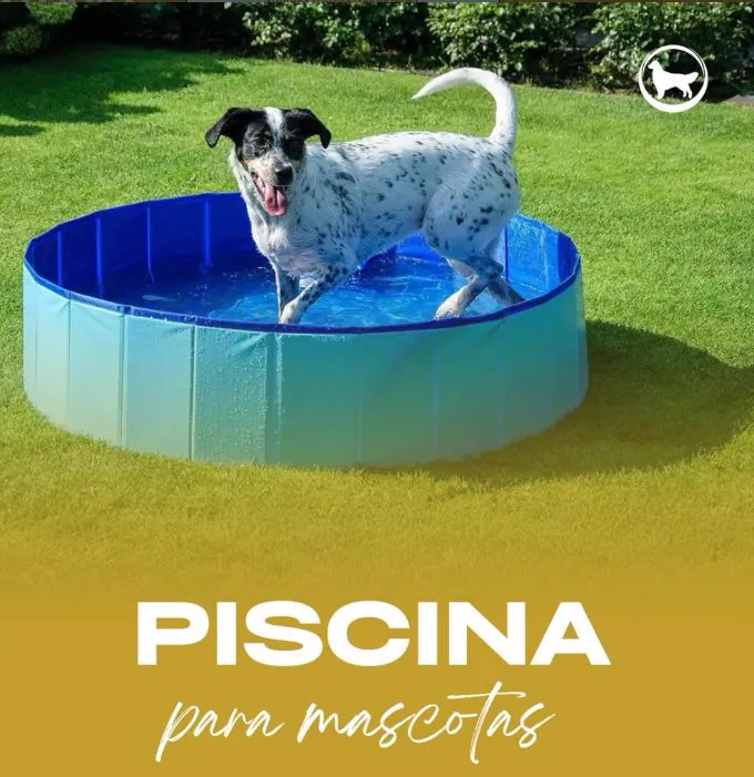 Perro jugando en una piscina para mascotas sobre el césped