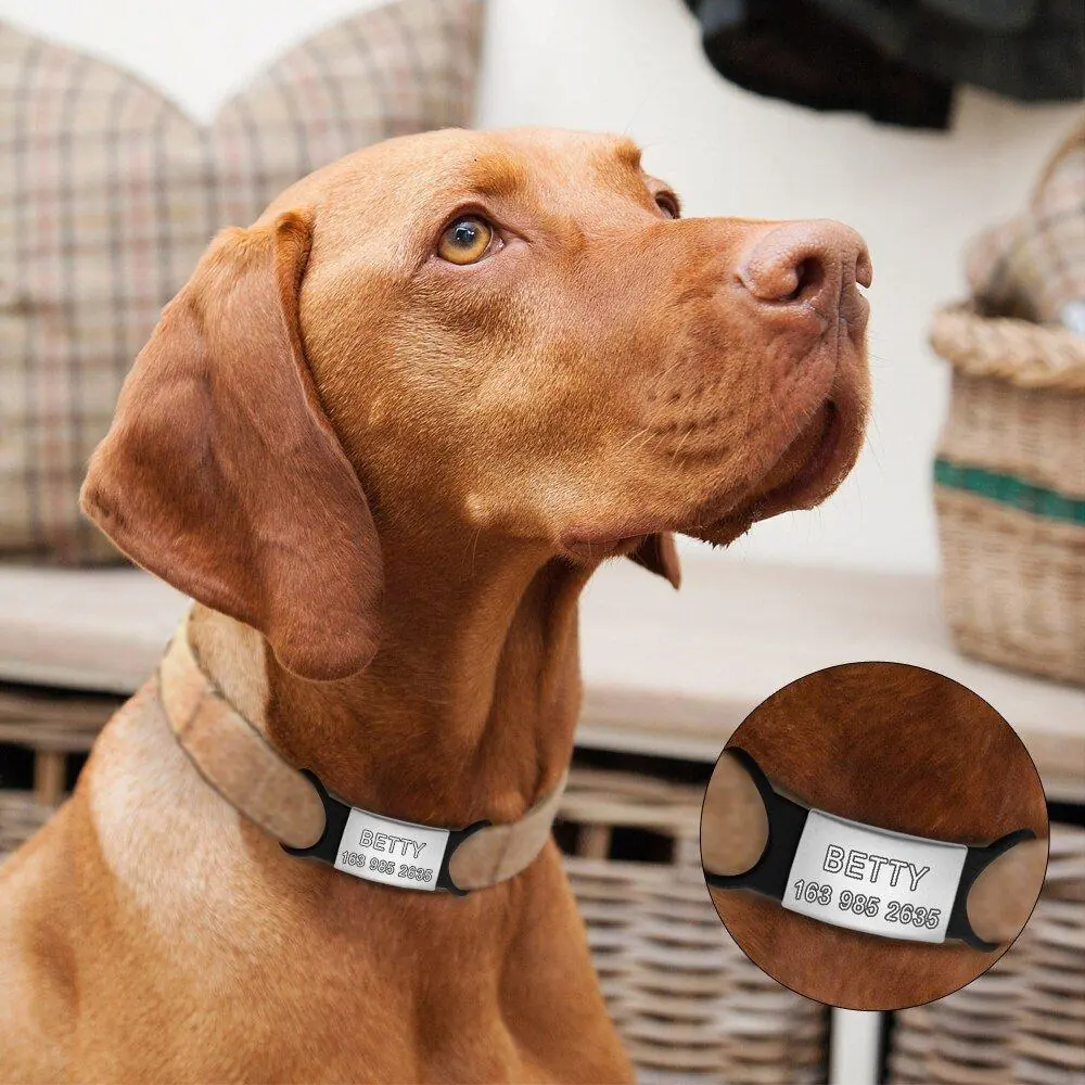 Perro con una plaquita de identificación grabada con su nombre y un teléfono, colgada del collar