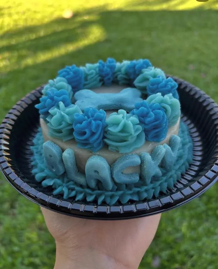 Torta canina de dos pisos decorada en azul con el nombre Blacky